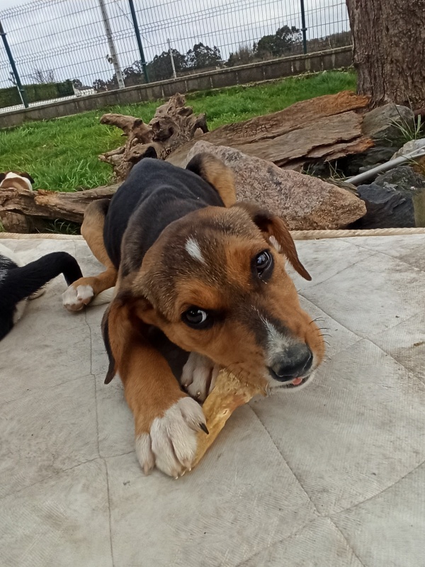 Foto Fiona