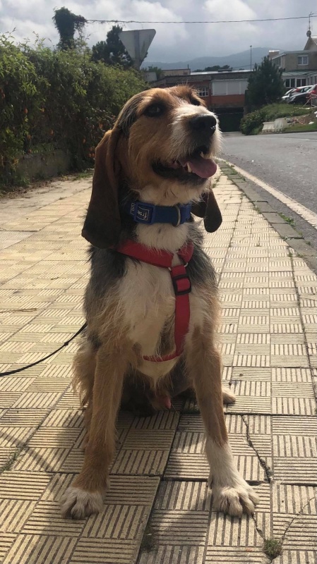 Foto Solo