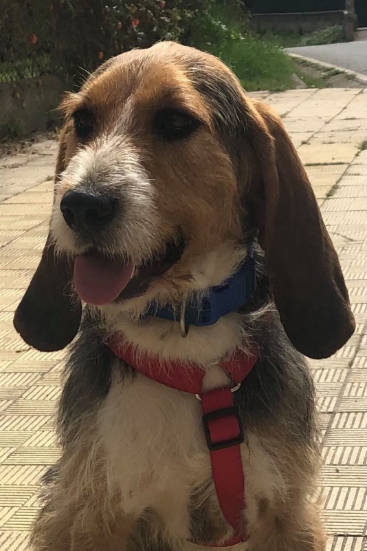 Foto Solo