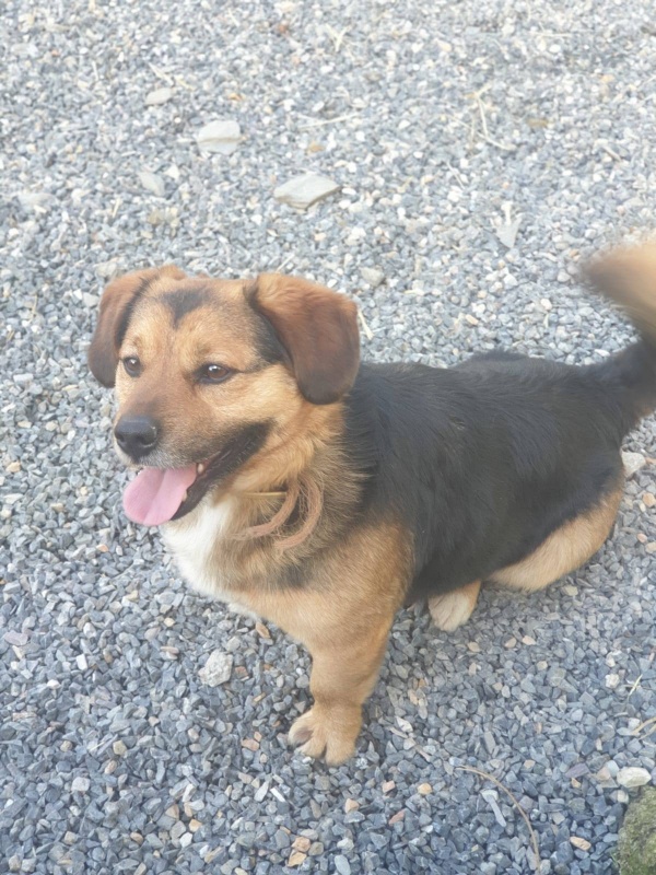 Foto Otto