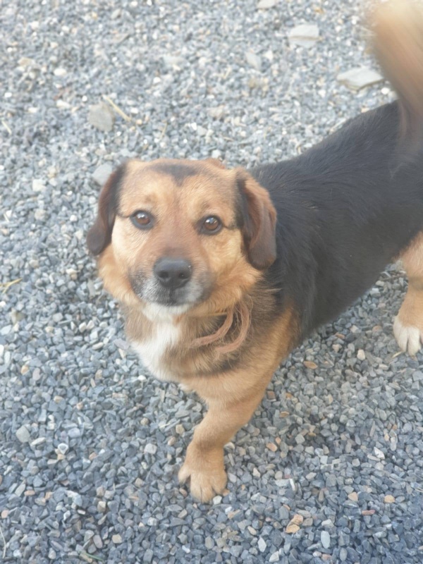Foto Otto