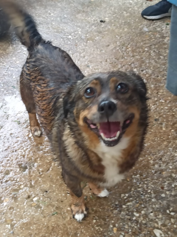 Foto Milú