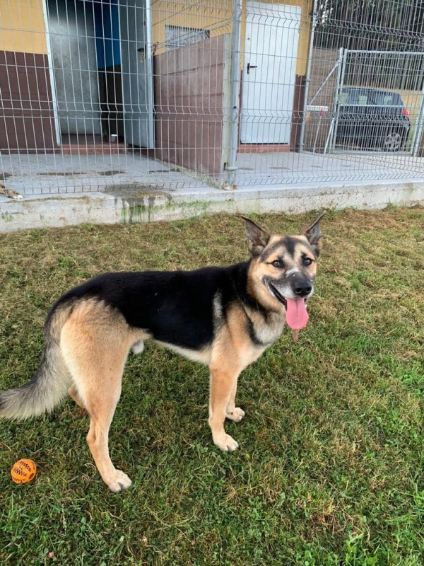 Foto Milú
