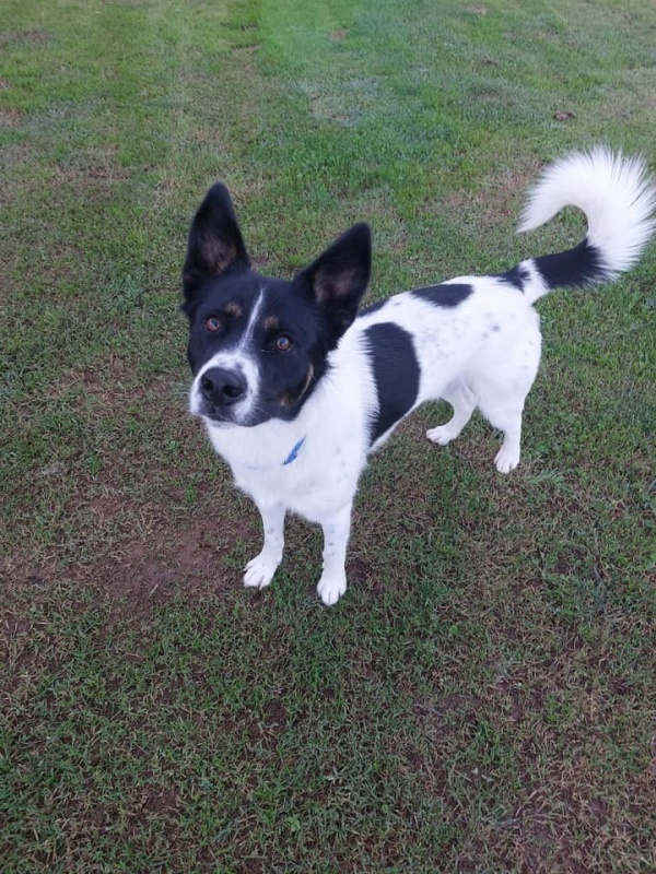 Foto Kiko