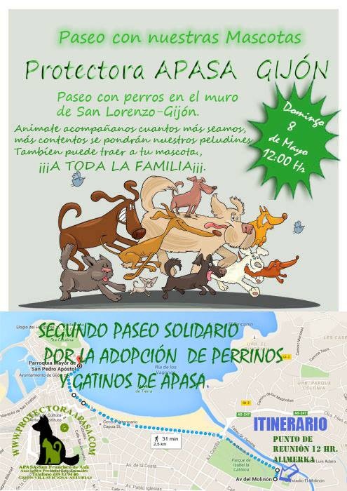 Foto Paseo por la adopción con APASA - Gijón