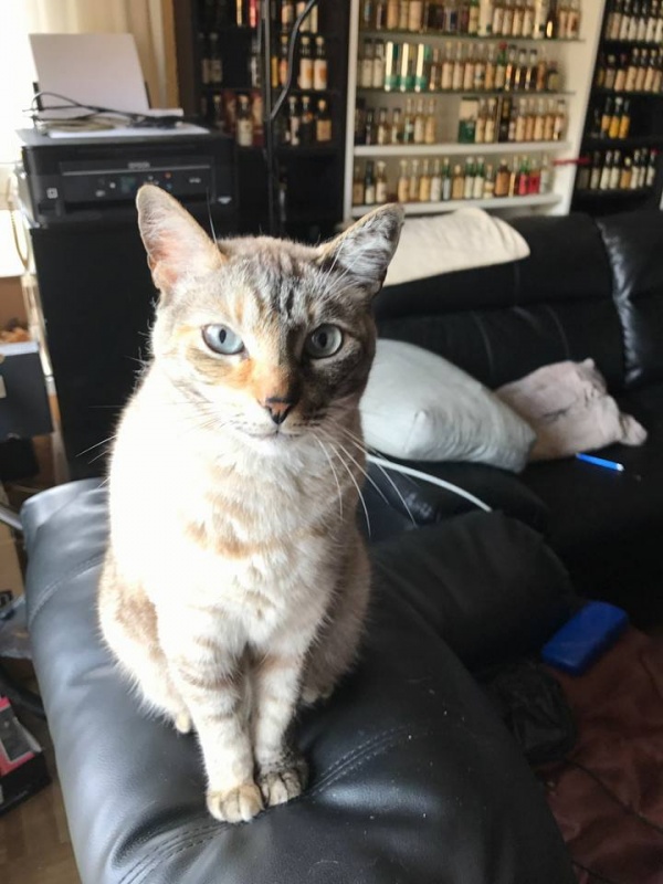 Foto PERLA