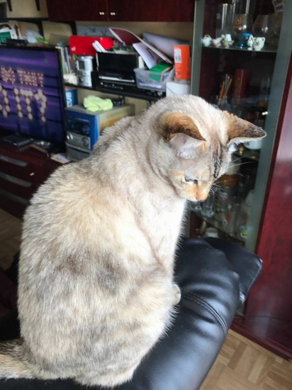 Foto PERLA