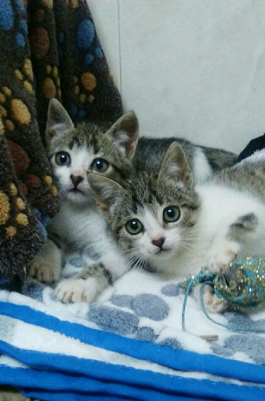 Foto Noa y Nuca