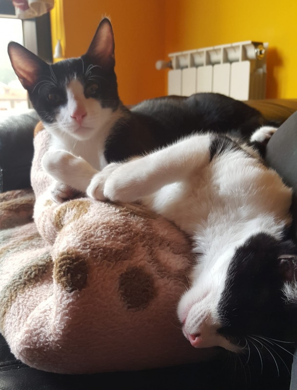 Foto SABINA Y ZEUS