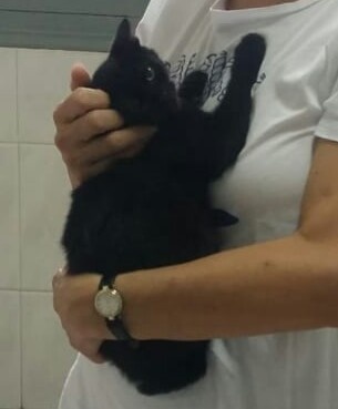Foto SALMA