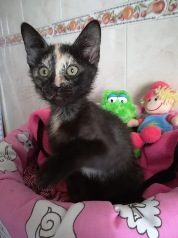 Foto LUNA