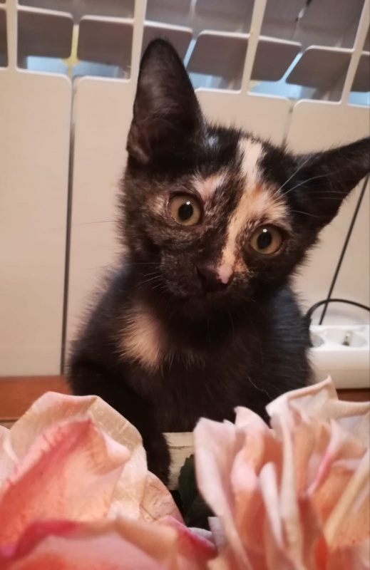 Foto LUNA