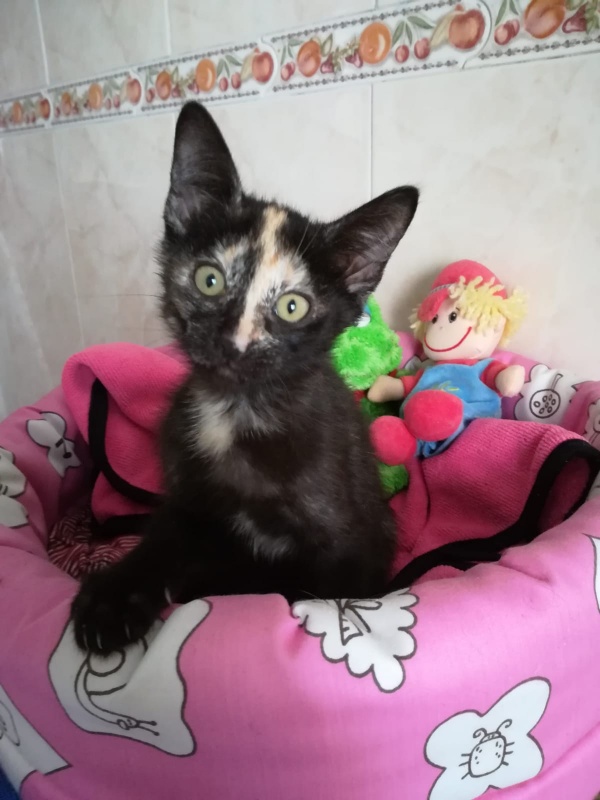 Foto LUNA