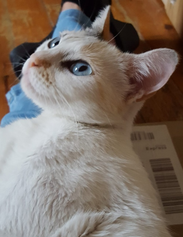 Foto NOA