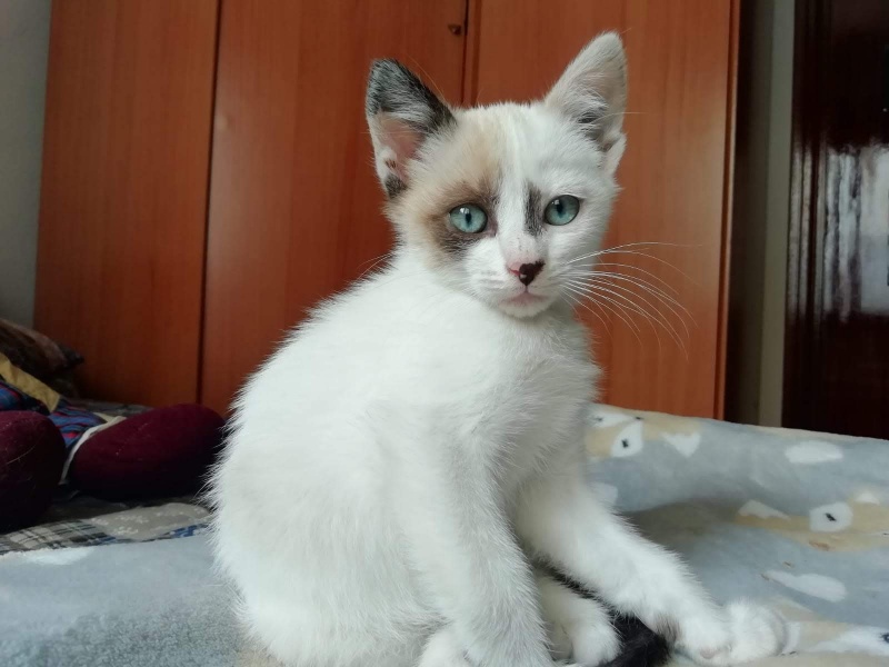 Foto Bianca
