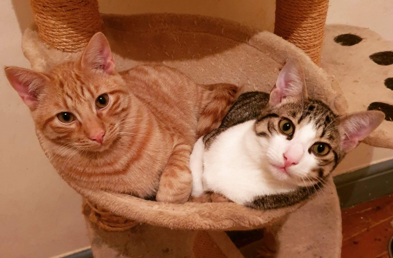 Foto IKER y TEO