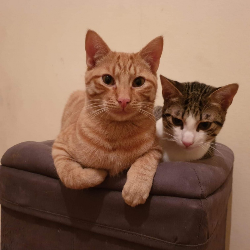 Foto IKER y TEO