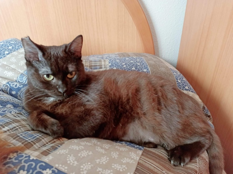 Foto LINA