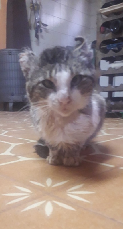 Foto TRISTÁN