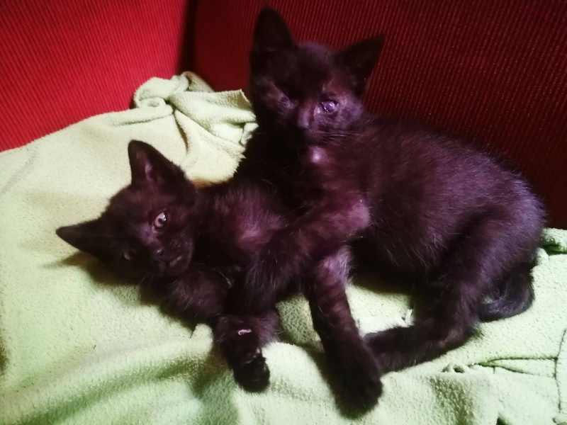 Foto CAPITÁN Y ARLENA