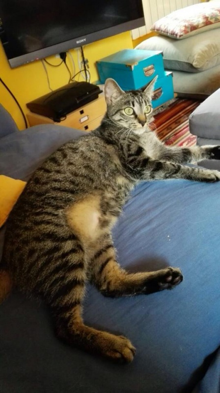 Foto Juno