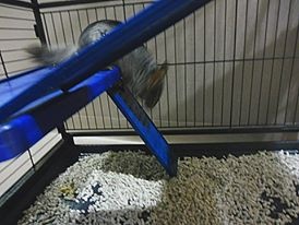 Foto Masuki