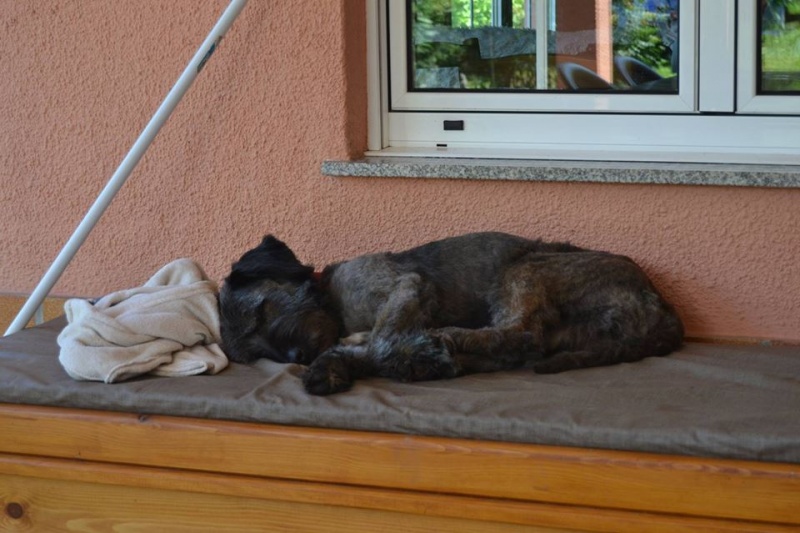 Foto Leo