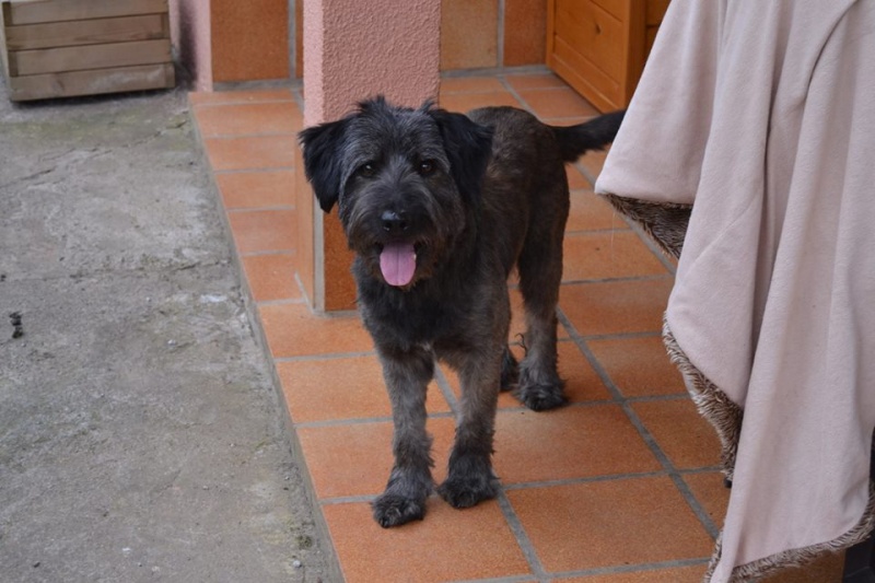 Foto Leo