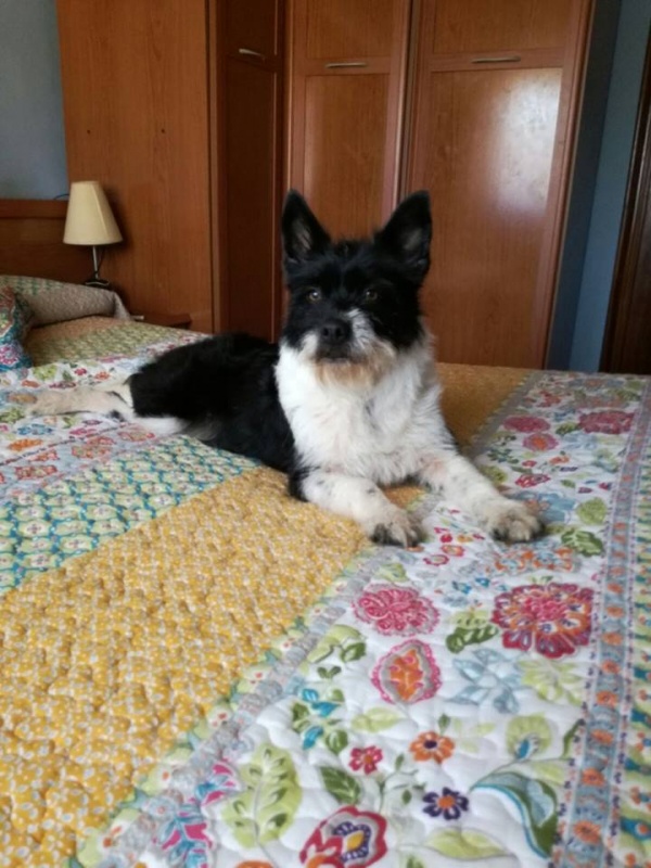 Foto Silvana