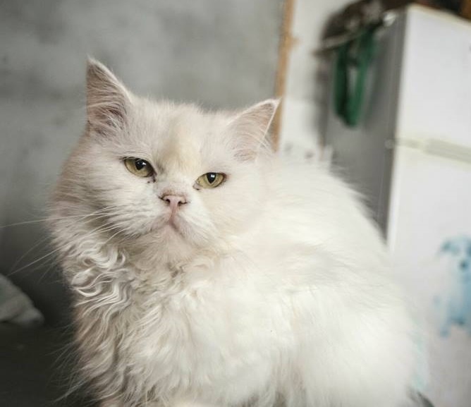 Foto Katty