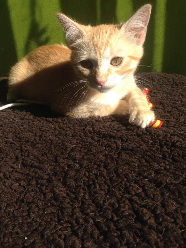Foto Victorio