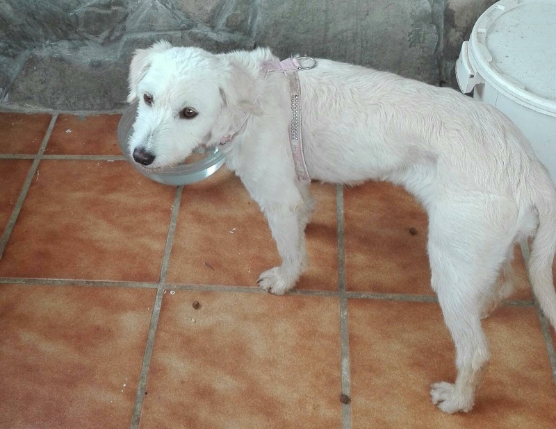 Foto Chulan