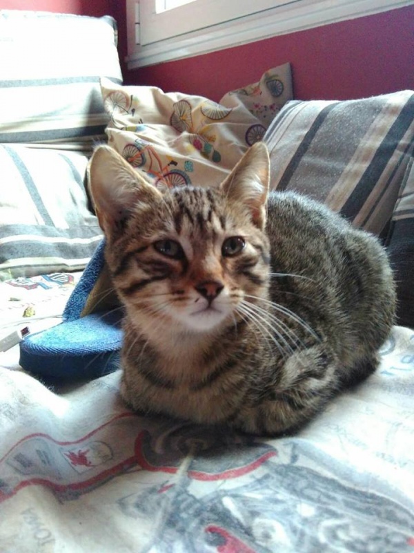 Foto Morgan