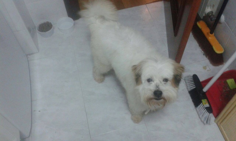 Foto Terry