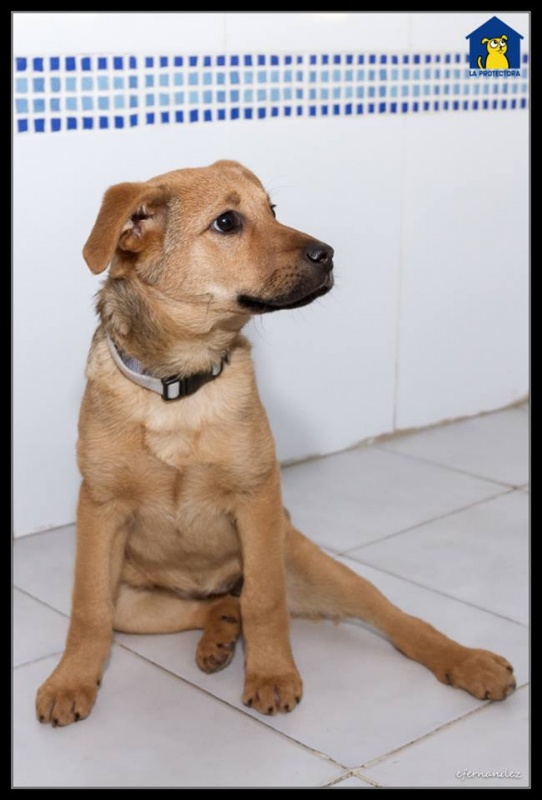 Foto Delta