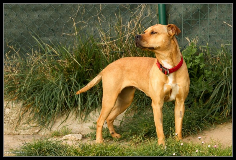 Foto Nala