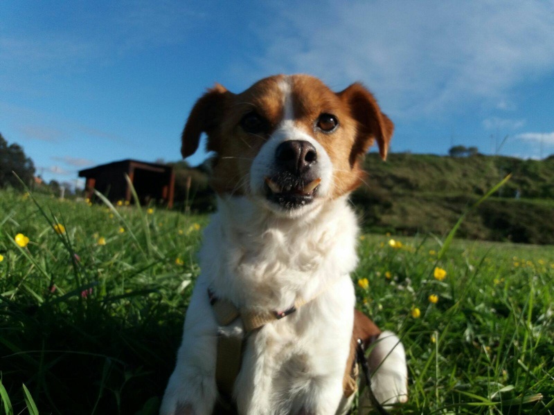 Foto Charo