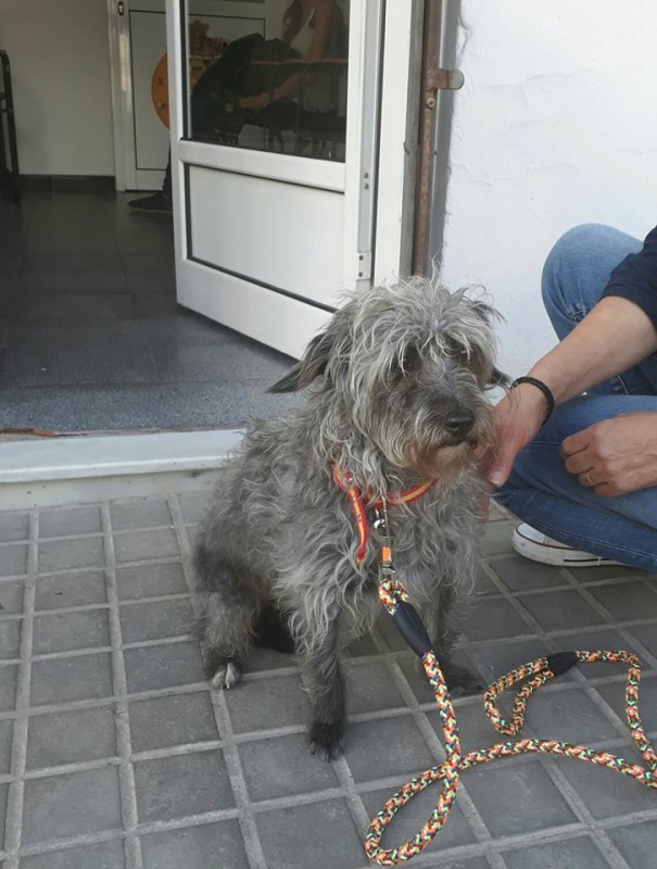 Foto Ara