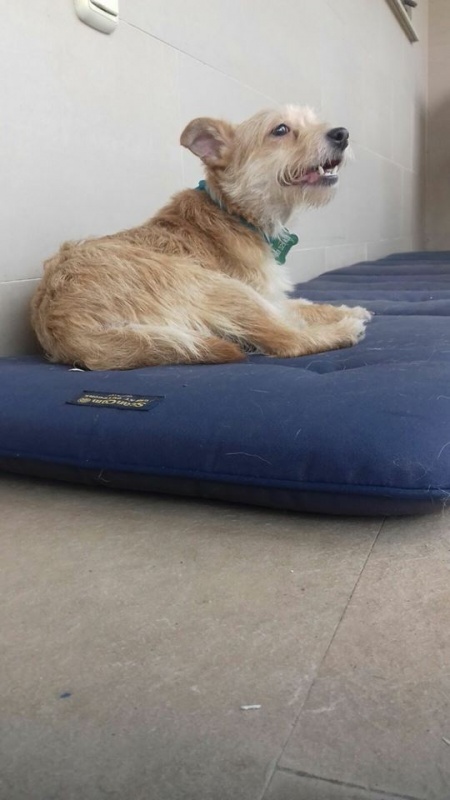 Foto Alba