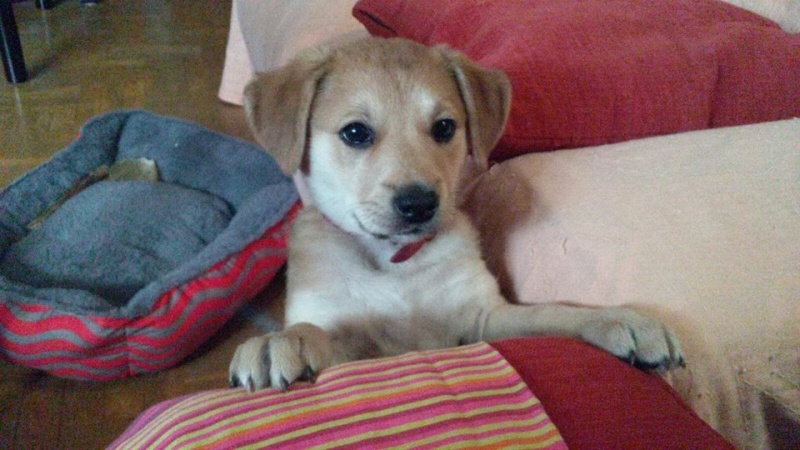 Foto Carla