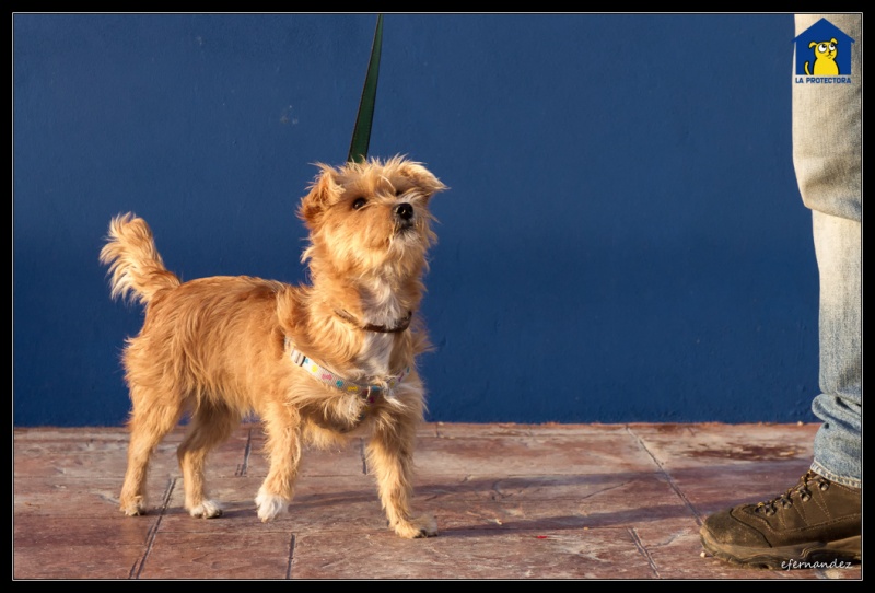 Foto Lola