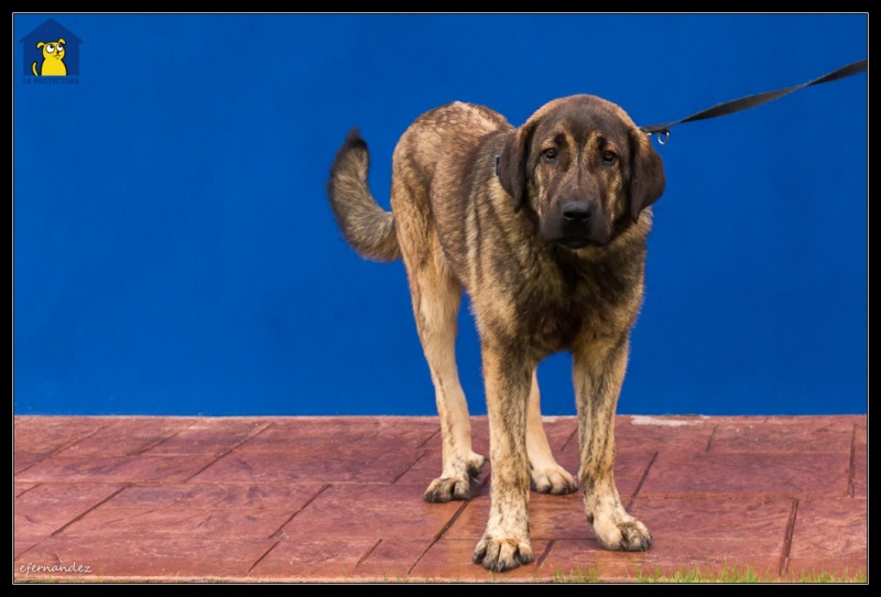 Foto Bruno