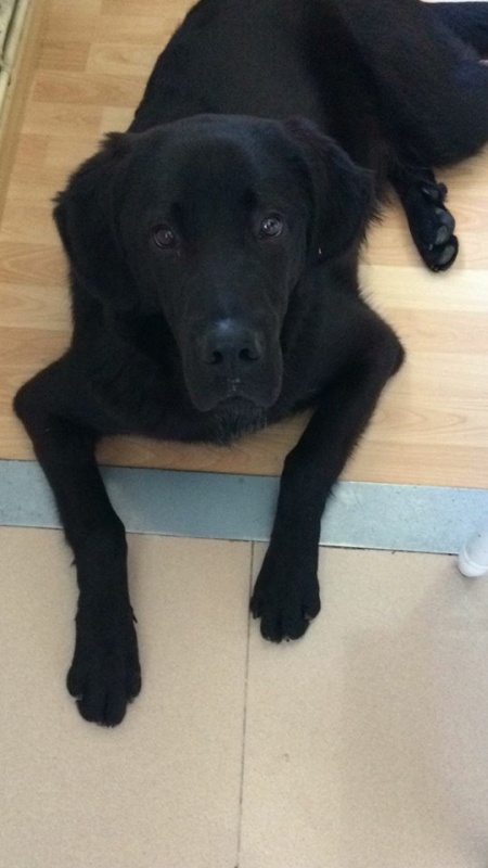 Foto Oliver