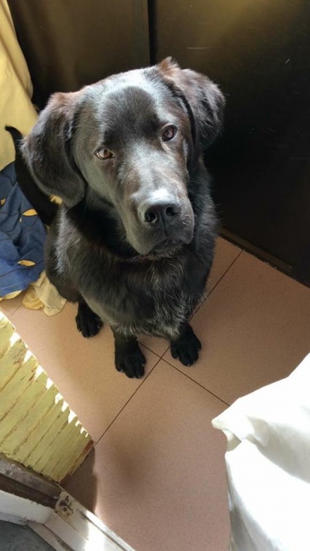 Foto Oliver