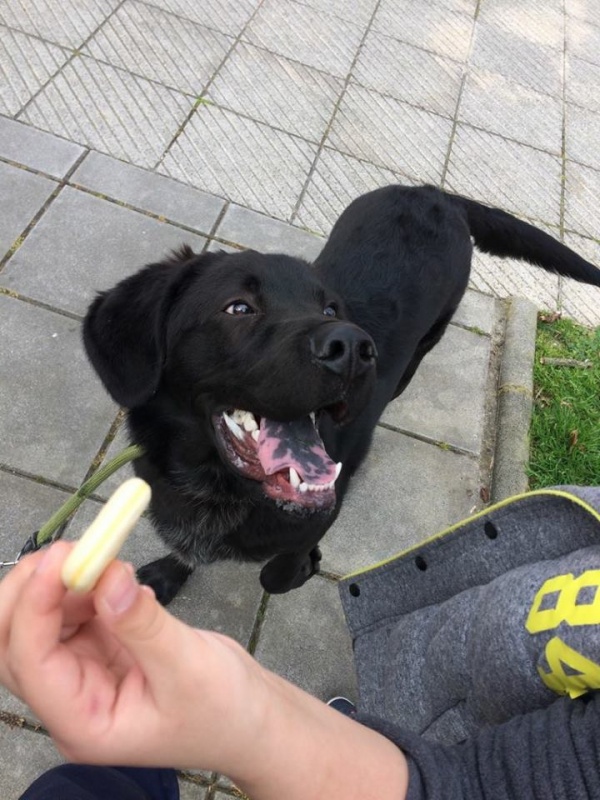 Foto Oliver