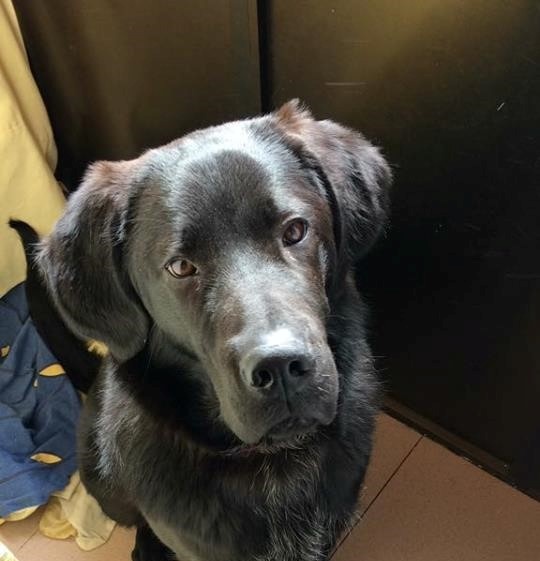 Foto Oliver