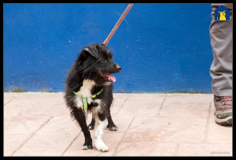 Foto Marco