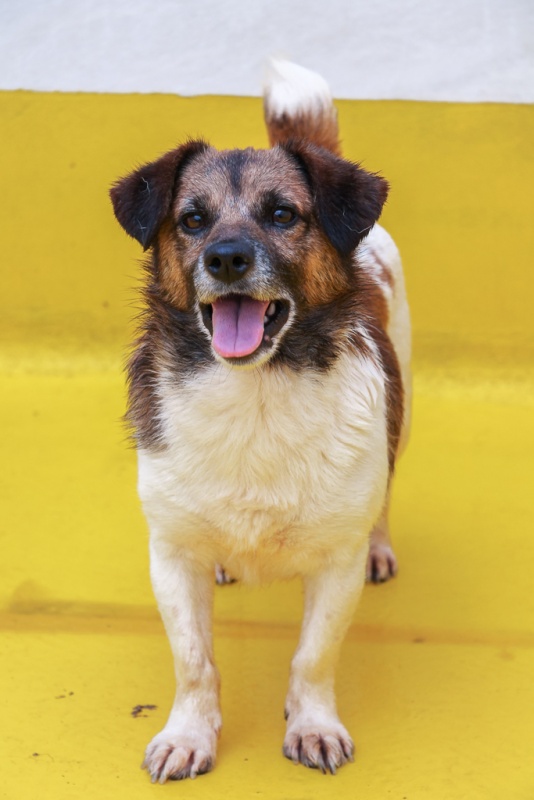 Foto Machín