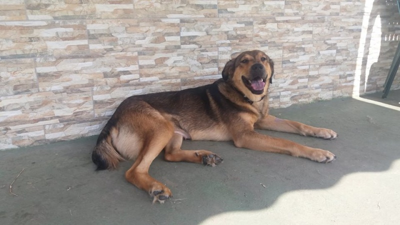 Foto Carmela