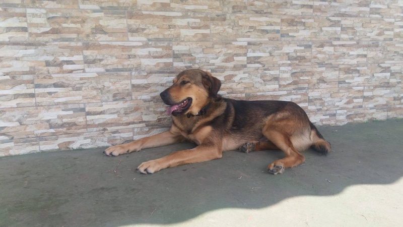 Foto Carmela